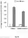 Fig. 30 - ALTERNATIVE INTRACELLULAR SIGNALLING DOMAIN OF A CHIMERIC ANTIGEN RECEPTOR