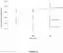 Fig. 25 - BMP-ALK3 ANTAGONISTS AND USES FOR PROMOTING BONE GROWTH