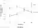 Fig. 38 - BMP-ALK3 ANTAGONISTS AND USES FOR PROMOTING BONE GROWTH