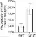 Fig. 01 - Multi-functional and multi-valent interleukin-TGF-beta receptor fusion polypeptides