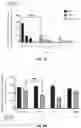 Fig. 14 - Multi-functional and multi-valent interleukin-TGF-beta receptor fusion polypeptides