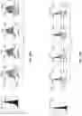 Fig. 20 - Multi-functional and multi-valent interleukin-TGF-beta receptor fusion polypeptides
