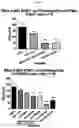 Fig. 11 - UTI FUSION PROTEINS