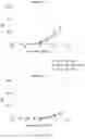 Fig. 30 - Antibodies that neutralize hepatitis B virus and uses thereof