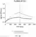 Fig. 42 - Antibodies that neutralize hepatitis B virus and uses thereof