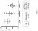 Fig. 06 - Decreasing infections in colonized patients