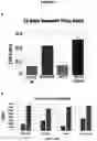 Fig. 09 - A METHOD FOR THE TREATMENT OR PROPHYLAXIS OF CANCER BY TARGETING THE EXTRACELLULAR PORTION OF KERATIN 14 (KRT14) RESIDING ON CANCER CELLS