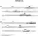 Fig. 34 - A METHOD FOR THE TREATMENT OR PROPHYLAXIS OF CANCER BY TARGETING THE EXTRACELLULAR PORTION OF KERATIN 14 (KRT14) RESIDING ON CANCER CELLS
