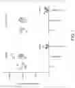Fig. 02 - Inhibition of Tau Propagation