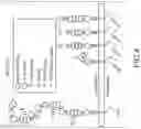 Fig. 05 - Inhibition of Tau Propagation