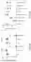 Fig. 06 - Inhibition of Tau Propagation