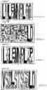 Fig. 08 - ANTIBODIES WITH REDUCED IMMUNOGENICITY