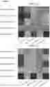 Fig. 11 - ANTIBODIES WITH REDUCED IMMUNOGENICITY