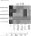 Fig. 12 - ANTIBODIES WITH REDUCED IMMUNOGENICITY