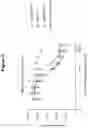 Fig. 05 - ANTIBODIES THAT SPECIFICALLY BIND TO HUMAN IL-15 AND USES THEREOF