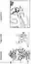 Fig. 45 - ANTIBODIES THAT SPECIFICALLY BIND TO HUMAN IL-15 AND USES THEREOF