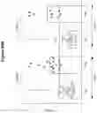 Fig. 56 - ANTIBODIES THAT SPECIFICALLY BIND TO HUMAN IL-15 AND USES THEREOF