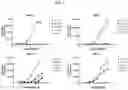 Fig. 03 - CLAUDIN 6 ANTIBODIES AND USES THEREOF
