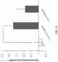 Fig. 14 - TREM2 ANTIBODIES AND USES THEREOF