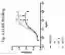 Fig. 12 - Humanized antibodies against c-Kit