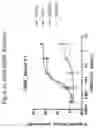 Fig. 14 - Humanized antibodies against c-Kit