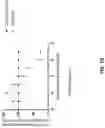 Fig. 16 - Anti-CD94 antibodies and methods of use thereof