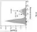 Fig. 22 - Anti-CD94 antibodies and methods of use thereof