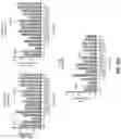 Fig. 33 - Anti-CD94 antibodies and methods of use thereof