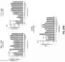 Fig. 34 - Anti-CD94 antibodies and methods of use thereof