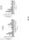 Fig. 35 - Anti-CD94 antibodies and methods of use thereof