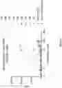 Fig. 42 - Anti-CD94 antibodies and methods of use thereof