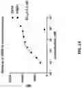 Fig. 02 - Anti-Dectin-1 antibodies and methods of use thereof