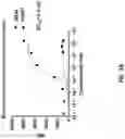 Fig. 03 - Anti-Dectin-1 antibodies and methods of use thereof