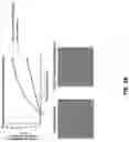 Fig. 06 - Anti-Dectin-1 antibodies and methods of use thereof