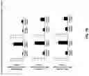 Fig. 14 - Anti-Dectin-1 antibodies and methods of use thereof