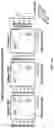 Fig. 22 - Anti-Dectin-1 antibodies and methods of use thereof