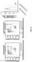 Fig. 27 - Anti-Dectin-1 antibodies and methods of use thereof