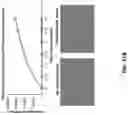 Fig. 31 - Anti-Dectin-1 antibodies and methods of use thereof