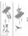 Fig. 34 - Anti-Dectin-1 antibodies and methods of use thereof