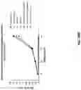 Fig. 38 - Anti-Dectin-1 antibodies and methods of use thereof