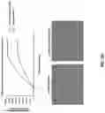 Fig. 42 - Anti-Dectin-1 antibodies and methods of use thereof
