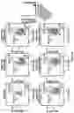 Fig. 44 - Anti-Dectin-1 antibodies and methods of use thereof