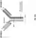 Fig. 46 - Anti-Dectin-1 antibodies and methods of use thereof