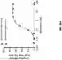 Fig. 51 - Anti-Dectin-1 antibodies and methods of use thereof