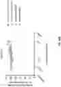 Fig. 53 - Anti-Dectin-1 antibodies and methods of use thereof