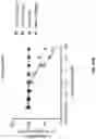 Fig. 59 - Anti-Dectin-1 antibodies and methods of use thereof