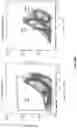 Fig. 61 - Anti-Dectin-1 antibodies and methods of use thereof