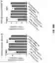 Fig. 63 - Anti-Dectin-1 antibodies and methods of use thereof