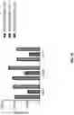 Fig. 67 - Anti-Dectin-1 antibodies and methods of use thereof