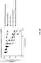 Fig. 68 - Anti-Dectin-1 antibodies and methods of use thereof